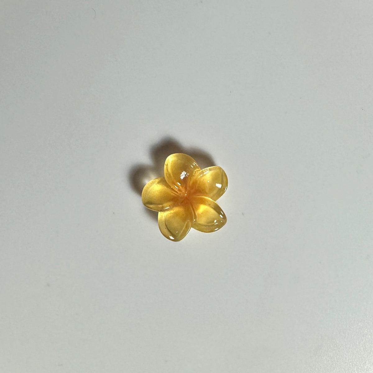 Orange Flower